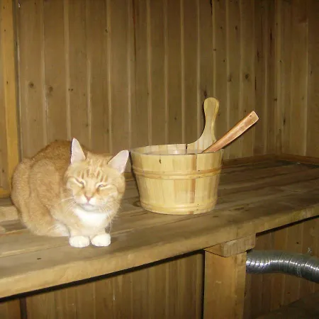 Kiige Holiday Park Linnamäe