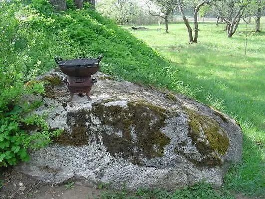 Campsite Kiige Holiday Park