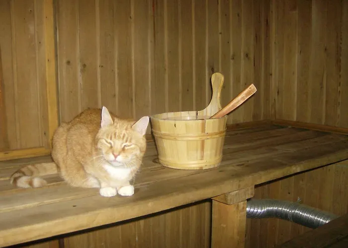 Kiige Holiday Park Linnamae